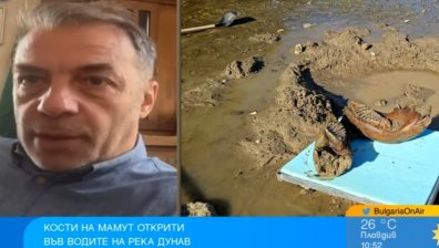 Вкаменелостите от мамут в Дунав край Ряхово са по-редки от тракийско съкровище