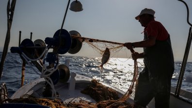 Драстично повишение на цените на храните в Гърция, рибата и месото стават лукс 