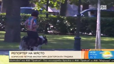 Спазват ли се правилата в Докторската градина в София?