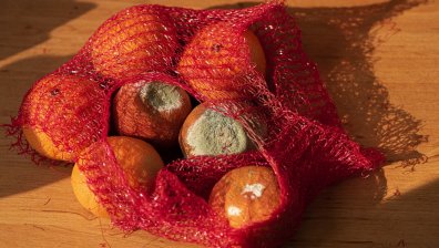 Няколко прости правила, за да намалите изхвърлянето на храна