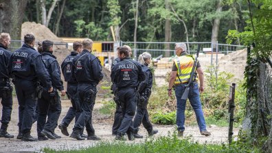 Лъвицата се оказа диво прасе - полицията в Берлин спря търсенето