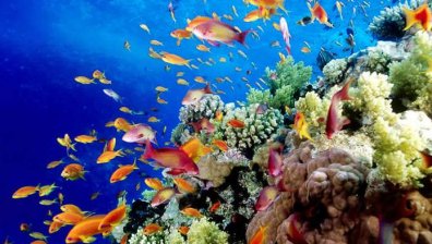 10 световни чудеса, които са застрашени от изчезване