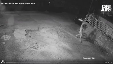 Helpbook: Мъчителят на кучета е добре познат в квартала си, често са намирани трупове