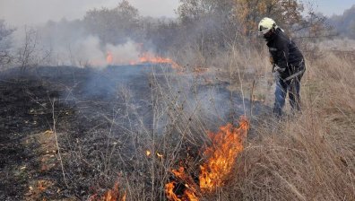WWF: Средно по 120 000 декара гори изгарят всяка година в България