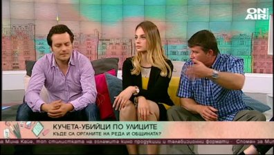 Агресивни кучета нападат не само хора, но и други домашни любимци, безотговорни ли са стопаните им?