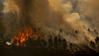 Пожарите в Испания прогониха от домовете им около 1400 души