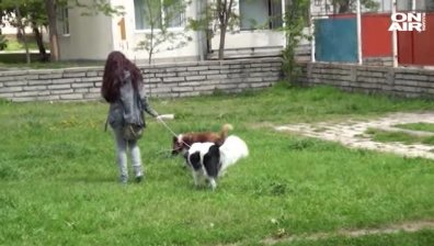Масови случаи на отровени кучета шокираха жителите на Сопот