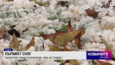 Обедна емисия