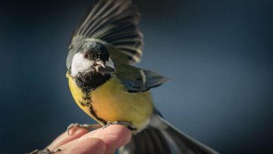 Времето днес: Топла сряда преди студения край на седмицата