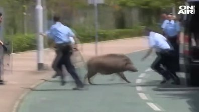 Полицаи в Хонконг преследваха глиган 