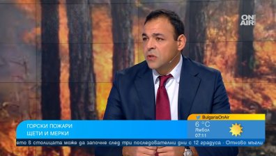 Шефът на Агенцията по горите алармира: Зачестяват случаите на незаконни дърва за огрев