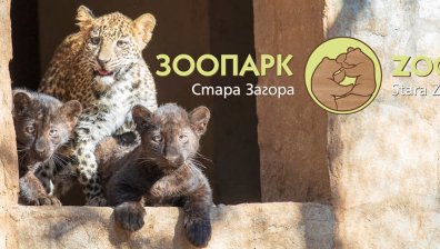 Зоопаркът в Стара Загора си има нови обитатели, търси им кръстник