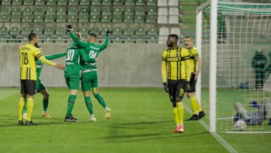 "Лудогорец" не се затрудни с "Ботев" (Пд) и пак се откъсна на върха