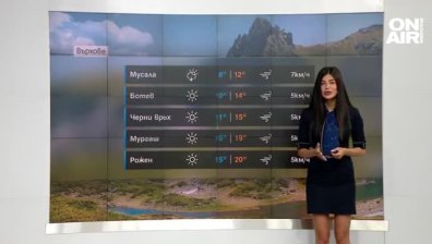 Централна прогноза