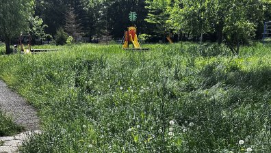 Детски площадки в София: Сухи клони, избуяли треви, риск от инсекти