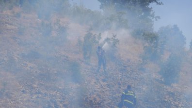 Пожар гори в борова гора в труднодостъпна местност край Балчик