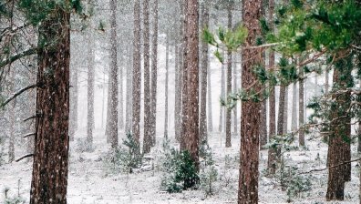 Какво време да очакваме през декември?