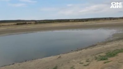 Еколози алармират за измиране на рибите в язовир край Руен