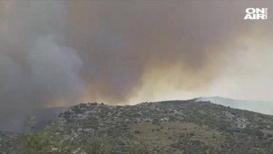 Продължават да се разрастват пожарите на гръцкия острoв Евбея