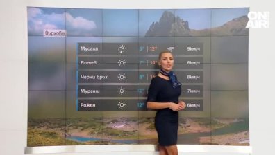 Централна прогноза