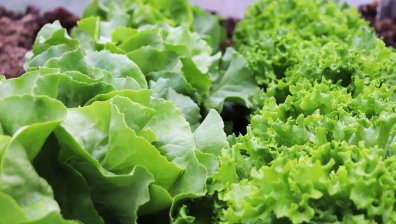 Скок в цените на плодовете и зеленчуците тази седмица