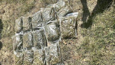 Спипаха двама по време на сделка с 15 кг марихуана