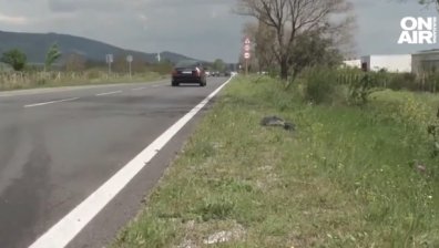 Хората са изхвърчали от каруцата, джипът е "летят" по наскоро асфалтиран път