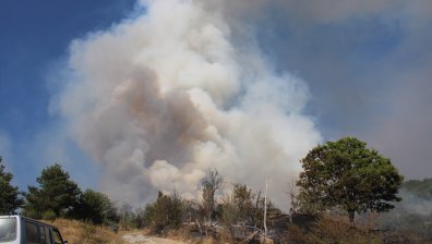 Кметът на Симитли обяви бедствено положение заради пожара в Сенокос