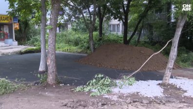 Софийска реалност: Асфалтираха дървета в квартал "Мусагеница"