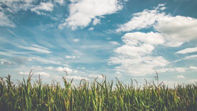 Времето остава топло и с високи температури