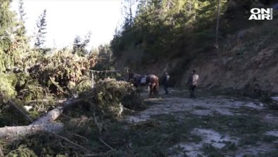 Смолян постепенно се нормализира след бедственото положение