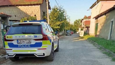 Куче разкъса и обезобрази 6-годишно дете в Казанлъшко