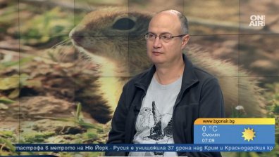 От хотели до автокъщи - застрояваме земите на лалугера, той е пред изчезване у нас