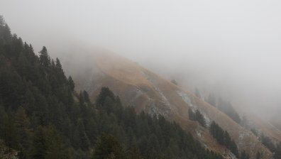 Откриха обявен за починал мъж в Национален парк "Пирин"