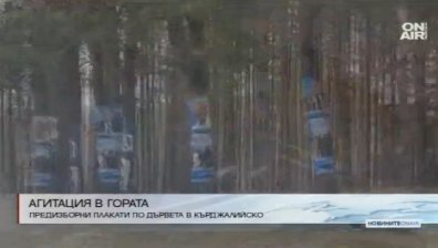Дървета в Кърджалийско бяха облепени с плакати на партии