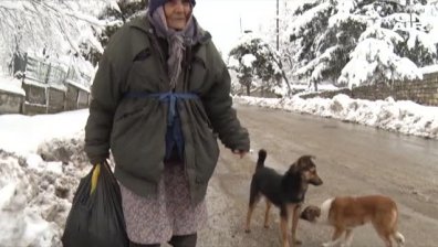 Без ток в село Мадан, Монтанско