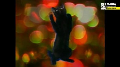 Котки пеят коледни песни