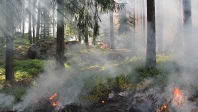 Евакуираха хотел и къмпинг в Гърция заради пожар