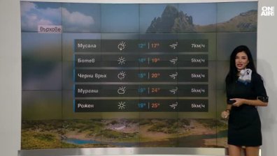 Централна прогноза