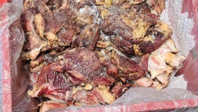 БАБХ затвори кланица край Пловдив с 36 тона негодни храни
