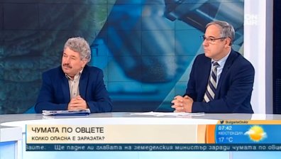 Пострадалите от чумата фермери непреклонни: Искат 3 оставки!