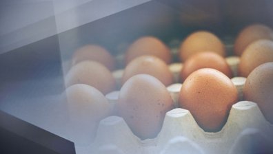 Откриха още половин тон яйчен прах с фипронил у нас