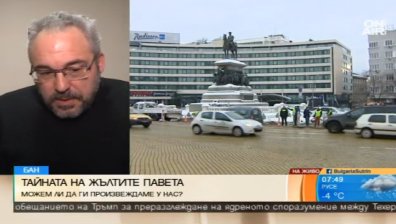 Учени твърдят: България може да произвежда жълти павета