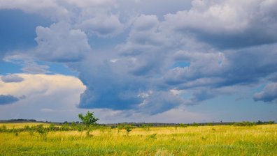 Времето в неделя: Жълт код за валежи е обявен в цялата страна