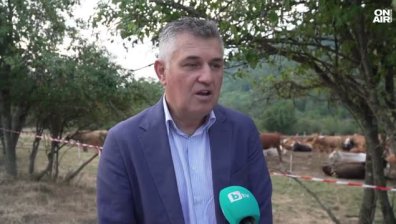 Антракс в Ловешко: Трима са заразени, 21 души са контактни (ВИДЕО)