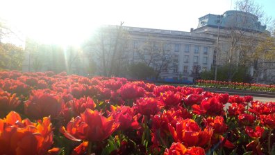 Слънчево неделно утро, следобед - дъжд и гръмотевици над Западна и Централна България