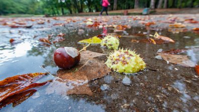 Предупреждение от първа степен за опасно време у нас