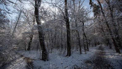 Жълт код за валежи е обявен в 7 области на Северна България, пътищата са проходими