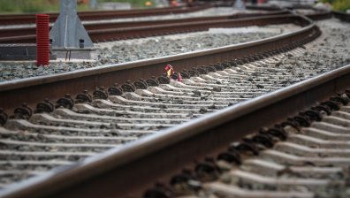 Спряха някои влакове заради паднали клони и липса на ток