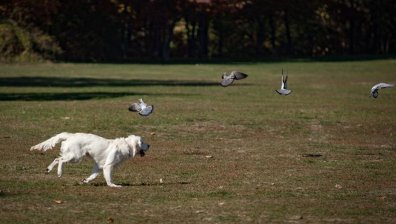 Промяна във времето - НИМХ издаде жълт код за вторник (+КАРТА)